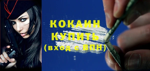 2c-b Богородицк