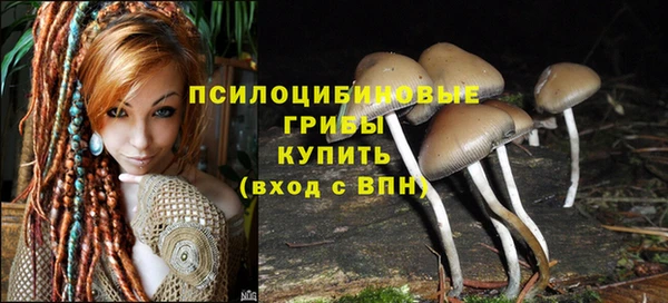 2c-b Богородицк