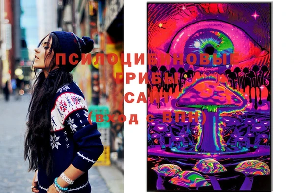 2c-b Богородицк
